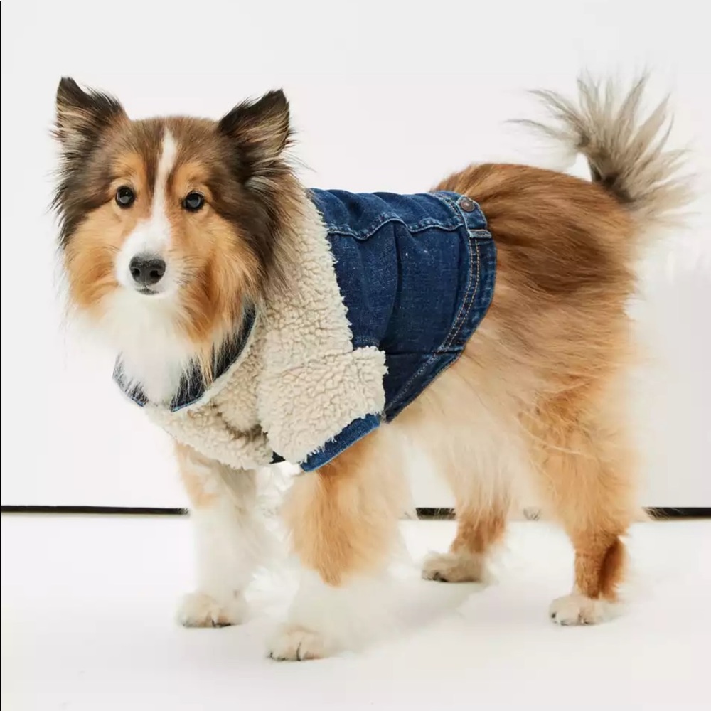 AE dog Sherpa denim
